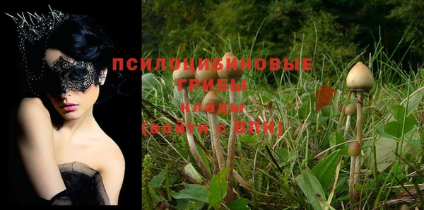 винт Абинск