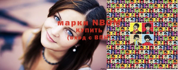 хмурый Алзамай