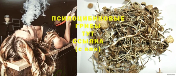 СК Алексин