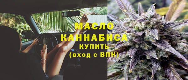 СК Алексин
