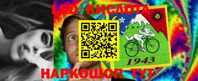 наркотики Сланцы