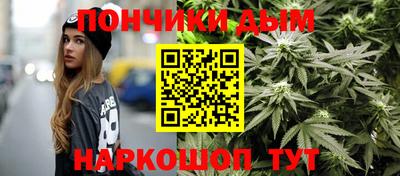 наркотики Сланцы