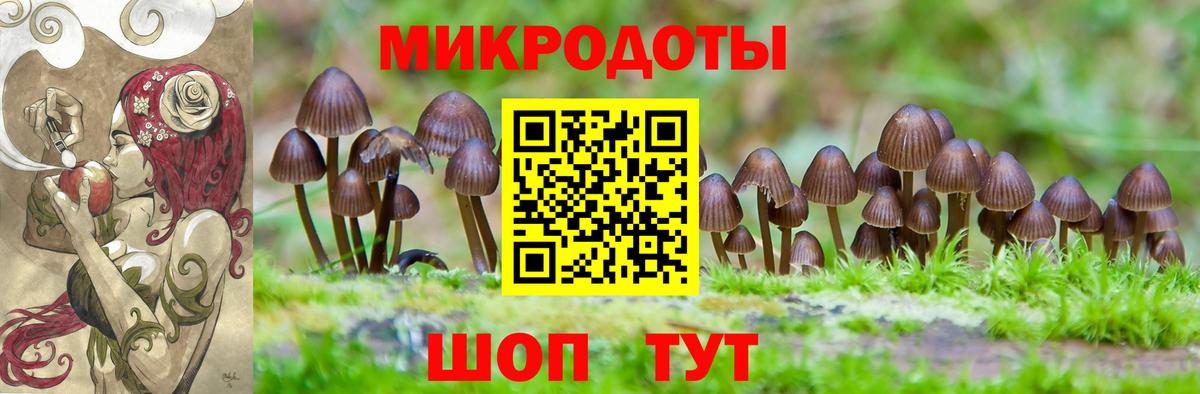 Псилоцибиновые грибы мухоморы  купить закладку  Старая Русса  Вход с VPN  Галлюциногенные грибы GOLDEN TEACHER 